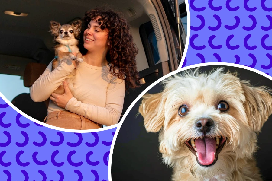 Travel in Style: The Perfect Companion for Your Furry Friend 8 dog carrier car seat pearl purse owleys 6 3